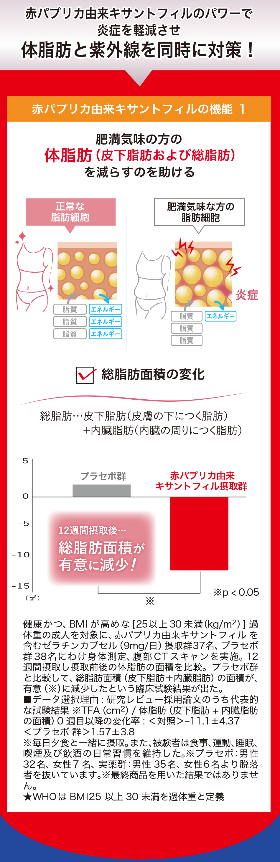 shirocal（シロカル）62粒入り【機能性表示食品】の通販・卸売り